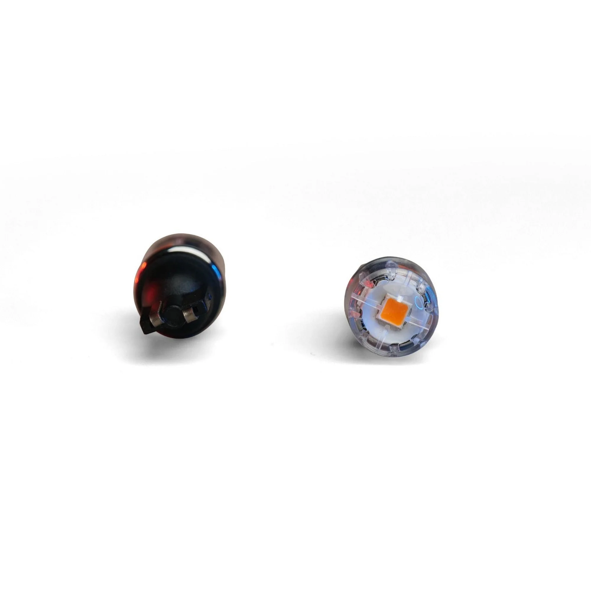 Dapper Lighting Revive LED Bulbs, 194 - Image 5